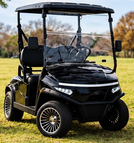 Black 4-seater Denago golf cart with canopy
